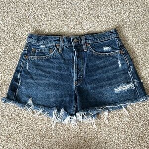 Agolde Parker Vintage Look Fit Shorts